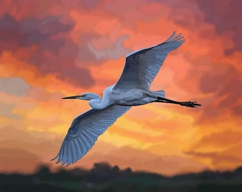 5x7 Egret Heron Fine Art Print Ready To Frame, Gallery Wall, Housewarming, Gift