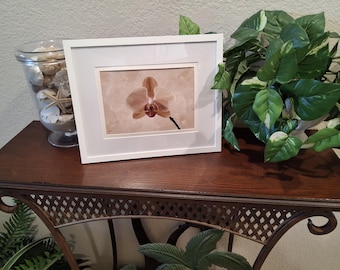 Framed Orchid Art Print: Tropical Botanical Floral Wall Art, Coastal Decor, boho
