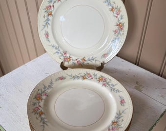 May include: A set of cream-colored vintage plates with a floral design. The plates feature a gold rim and a delicate pattern of pink, yellow, and blue flowers. The plates are stacked on a white surface.