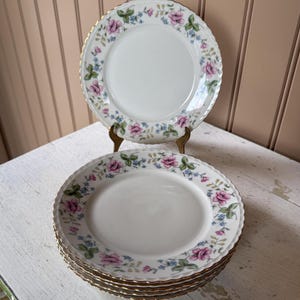 May include: A stack of white porcelain plates with a floral rose pattern in pink, green, and blue, and a gold rim. One plate is displayed on a decorative stand. The plates are on a white surface.