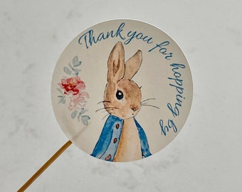 Peter Rabbit Stickers Thank You For Hopping By Baby Shower Birthday Party