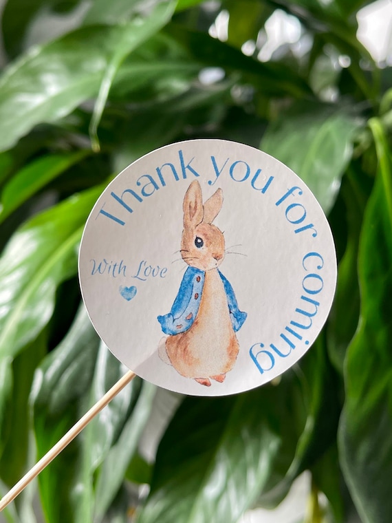 Pink Peter Rabbit Stickers Thank You For Hopping By Baby Shower Kids Birthday 