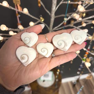 May include: Six white heart-shaped seashell pendants, each with a spiral design, are held in a hand. The pendants are smooth and have a natural, organic appearance. The background is blurred, with a decorative tree and other items visible.