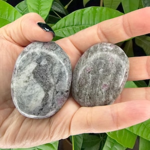 May include: Two oval-shaped stones with a mix of gray, white, and pink hues. The stones are held in a hand, with green foliage in the background. The stones have a polished, smooth surface.