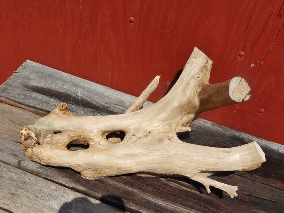 Natural Driftwood Aquarium Wood Decoration 23 Etsy