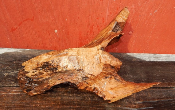 All Natural Driftwood Fish Tank Decoration Aquarium Etsy