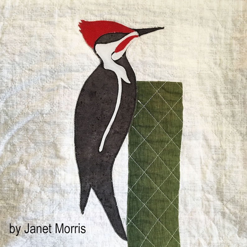 Pileated Woodpecker Bird Quilt Pattern Digital Download | Etsy
