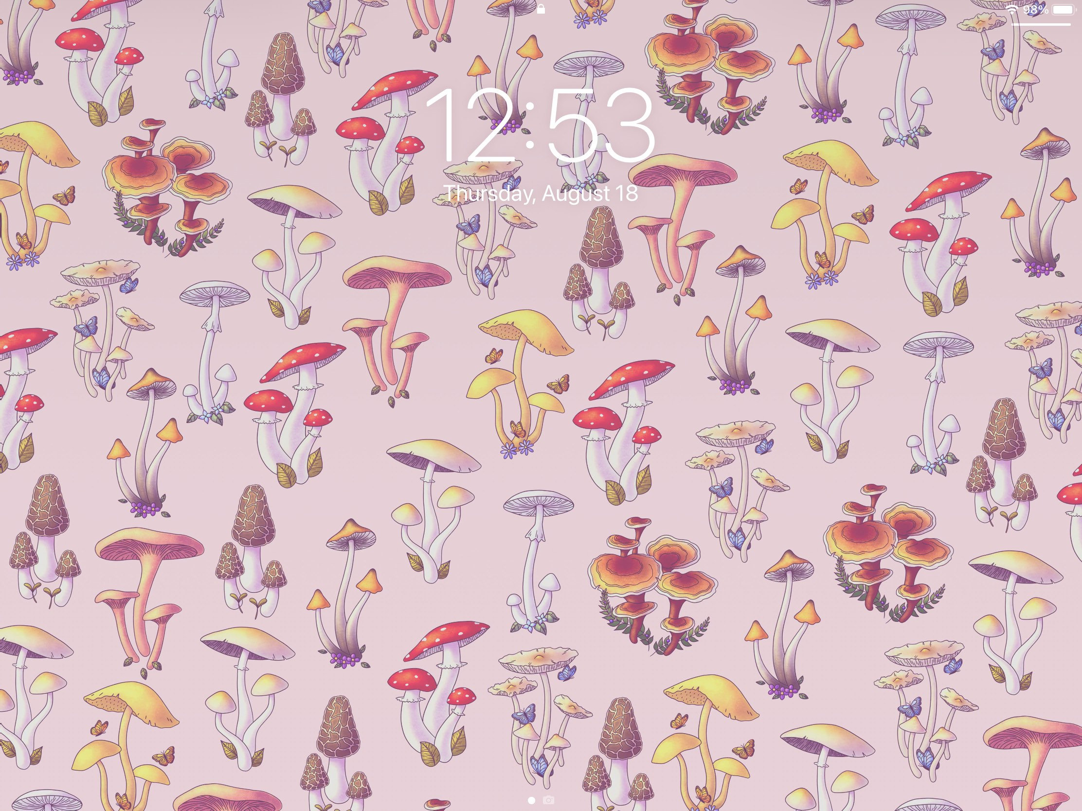 Mushroom Wallpaper Aesthetic