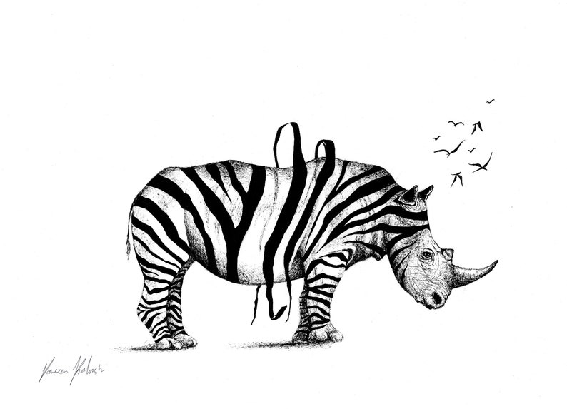 cool rhino pictures cool rhino pictures