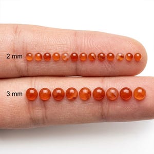 Könnte beinhalten: Eine Sammlung kleiner, runder, orangeroter Karneolperlen, die in zwei Reihen angeordnet sind. Die obere Reihe zeigt Perlen mit der Beschriftung 2 mm, während die untere Reihe größere Perlen mit der Beschriftung 3 mm zeigt. Jede Perle hat eine glatte Oberfläche.