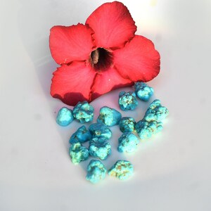 May include: A close-up of a cluster of turquoise stones, ranging in size and shape, scattered on a white surface. A single red flower with five petals is positioned above the stones.