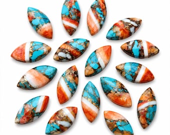Spiny Oyster Turquoise Cabochon: Marquise AAA+ Gemstone 5x10mm 10x20mm