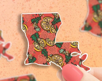 Louisiana strawberry sticker, Louisiana decal, waterproof state sticker, travel sticker, Laptop decal,