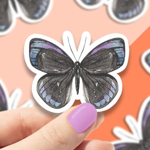 Watercolor hairstreak butterfly vinyl sticker, butterfly sticker, best friend gift, laptop sticker, butterfly decals