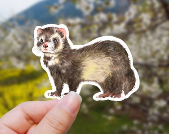 IP02 Polecat Weasel Cute Pet Animal Wild Gift #14219 Cheeky Ferret Keyring IP02 Polecat Weasel Cute Pet Animal Wild Gift #14219 Cheeky Ferret Keyring