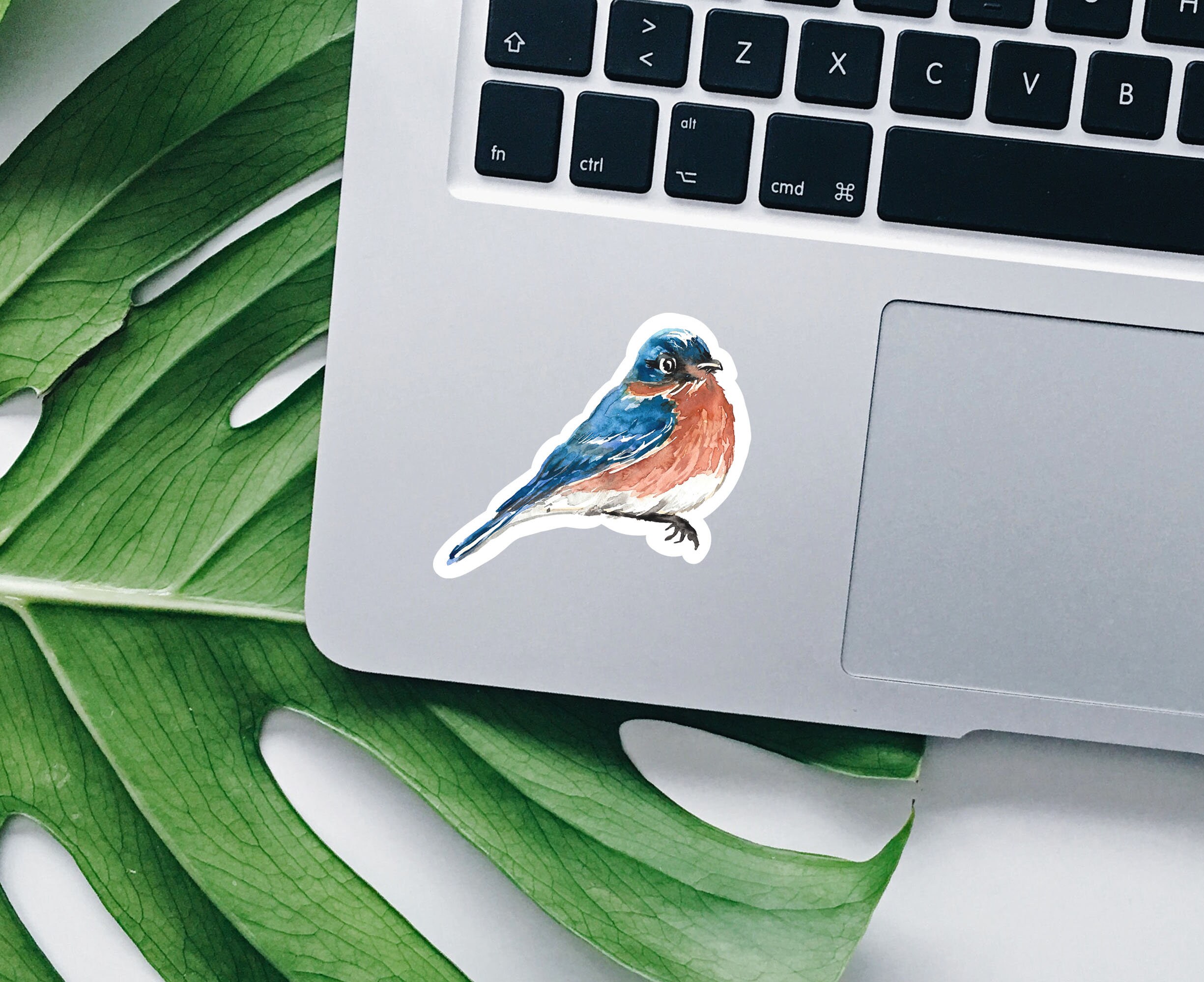 Watercolor Blue Bird Vinyl Sticker Bird Sticker Best Friend | Etsy