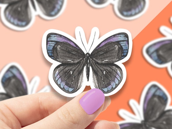 Watercolor hairstreak butterfly vinyl sticker, butterfly sticker, best friend gift, laptop sticker, butterfly decals