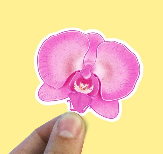 Sticker mural Pierres de Spa et violet orchidée 