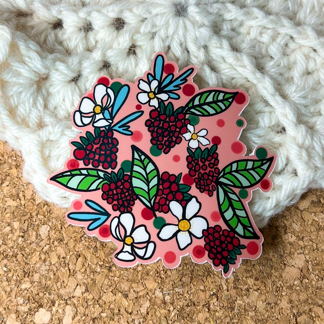 Raspberries Vinyl Sticker, Raspberry Stickers, Water Bottle Stickers ...
