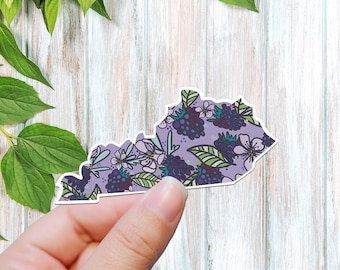 Kentucky blackberry sticker, Kentucky decal, waterproof state sticker, travel sticker, Laptop decal,
