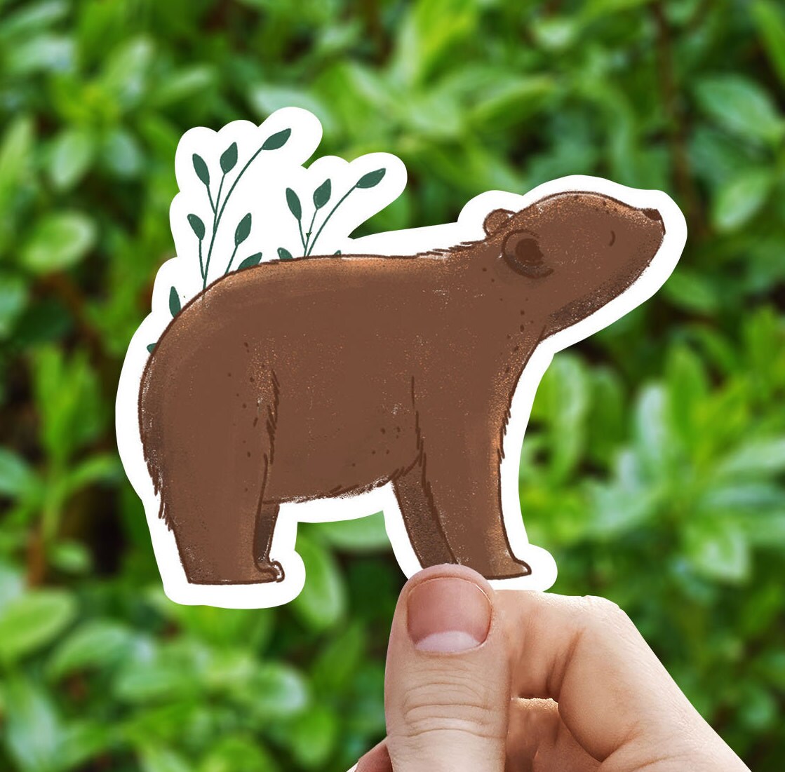 Watercolor Little Bear Vinyl Sticker, Bear Sticker, Best Friend Gift ...