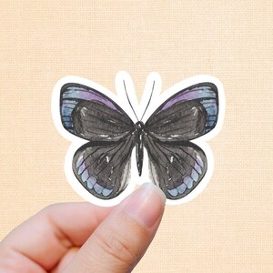Op de afbeelding: Een aquarel sticker van een vlinder met zwarte vleugels, geaccentueerd met paarse en blauwe tinten. De vlinder heeft een witte rand en wordt door een hand tegen een beige achtergrond gehouden. De sticker is een decoratief item.