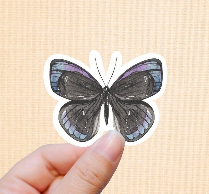Op de afbeelding: Een aquarel sticker van een vlinder met zwarte vleugels, geaccentueerd met paarse en blauwe tinten. De vlinder heeft een witte rand en wordt door een hand tegen een beige achtergrond gehouden. De sticker is een decoratief item.