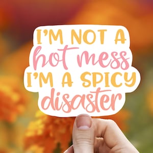I’m not a hot mess I’m a spicy disaster vinyl sticker, laptop sticker, Meme sticker, best friend gift, sarcastic gift, funny gift