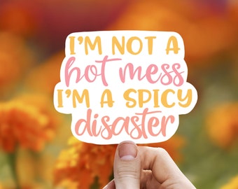 I’m not a hot mess I’m a spicy disaster vinyl sticker, laptop sticker, Meme sticker, best friend gift, sarcastic gift, funny gift