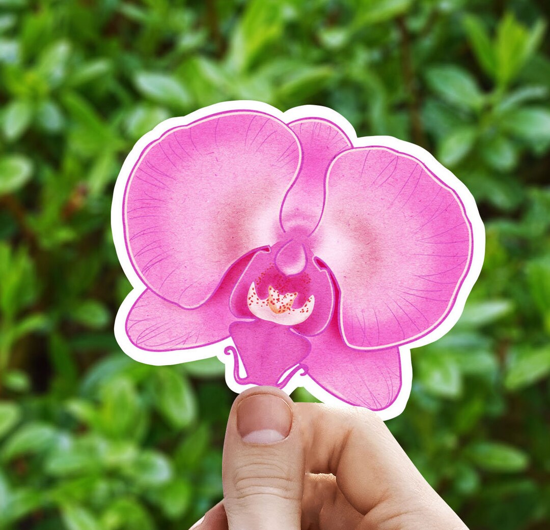Orchid Sticker Pink Orchid Vinyl Sticker, Illustrated Flower Sticker, Flower Sticker ...