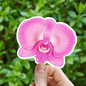 Sticker vinyle orchidée rose, sticker fleur illustré, sticker fleur, esthétique, cadeau d'anniversaire, sticker pour ordinateur portable, sticker fleur imperméable
