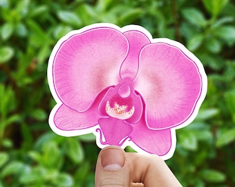 Pink orchid vinyl sticker, Illustrated flower sticker, flower sticker, aesthetic, birthday gift,  laptop sticker, waterproof flower sticker