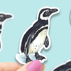 Sticker vinyle aquarelle pingouin, sticker lapin, cadeau meilleur ami, sticker pour ordinateur portable, cadeau sarcastique