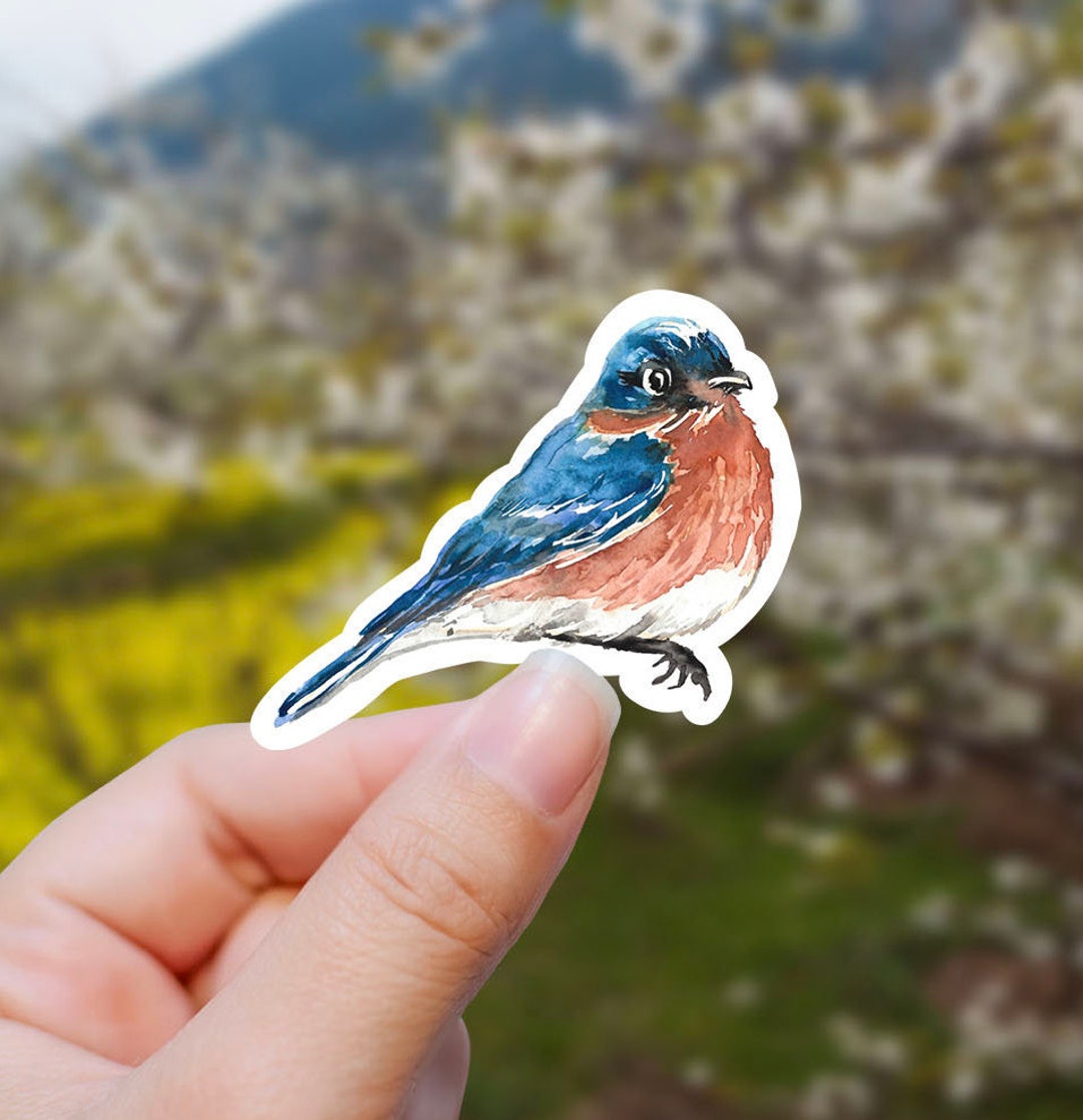Watercolor Blue Bird Vinyl Sticker, Bird Sticker, Best Friend Gift ...