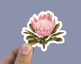 Rosa Protea-Vinylaufkleber, florale Designs, Blumenaufkleber, Laptopaufkleber, wasserfester Blumenaufkleber