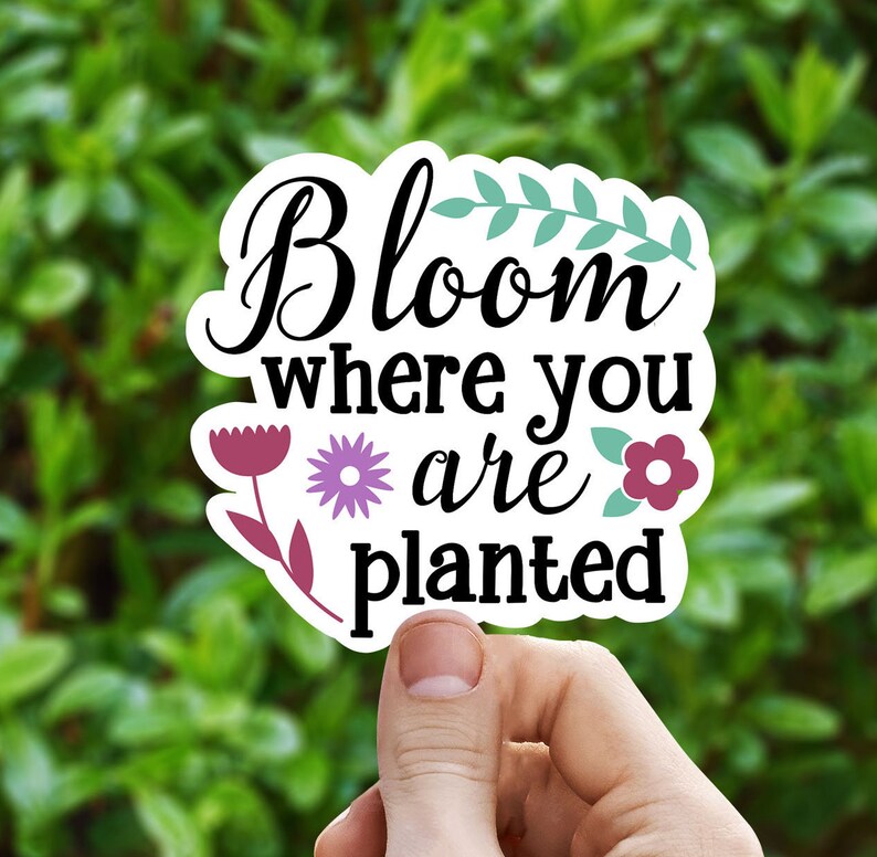 Bloom where you are planted vinyl Sticker trendy stickers