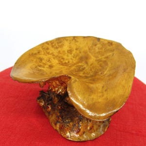 Ciotola/vassoio vintage svedese in radica scultorea su supporto in legno d'acero? Decorazione in legno scandinava eccentrica Ornamento rustico unico Svezia
