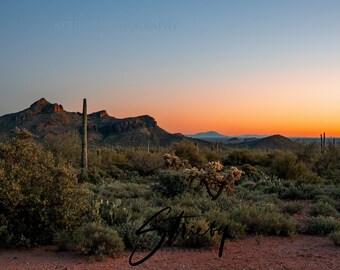 Landscape Photography-Acrylic Prints-Canvas Prints-Wall Décor-Wall Art-Home Décor-Arizona-Desert-Cactus-Nature-Sunset-Free Shipping