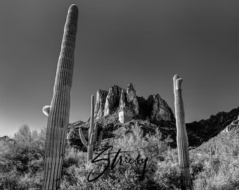 Landscape Photography-Prints-Black and White-Canvas Prints-Acrylic Prints-Wall Décor-Wall Art-Arizona-Desert-Cactus-Nature-Free Shipping