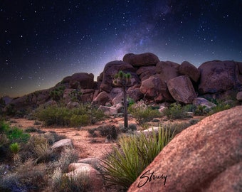 May include: A nighttime landscape featuring a desert scene under a starry sky. Large, reddish-brown rock formations dominate the midground, with a Joshua tree and desert vegetation in the foreground. The Milky Way is visible.