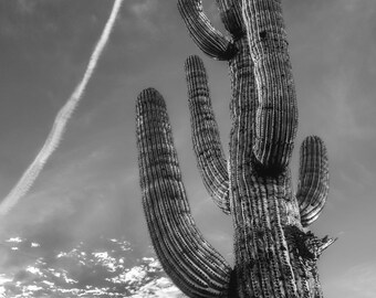 Landscape Photography-Acrylic Prints-Canvas Prints-Canvas-Home Decor-Wall Decor-Saguaro Cactus-Arizona-Sunset-Desert-Black and White