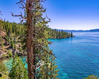 Landscape Photography-Acrylic Prints-Canvas Prints-Wall Decor-Wall Art-Home Decor-Lake Tahoe CA-Amazing Blue Water-Free Shipping