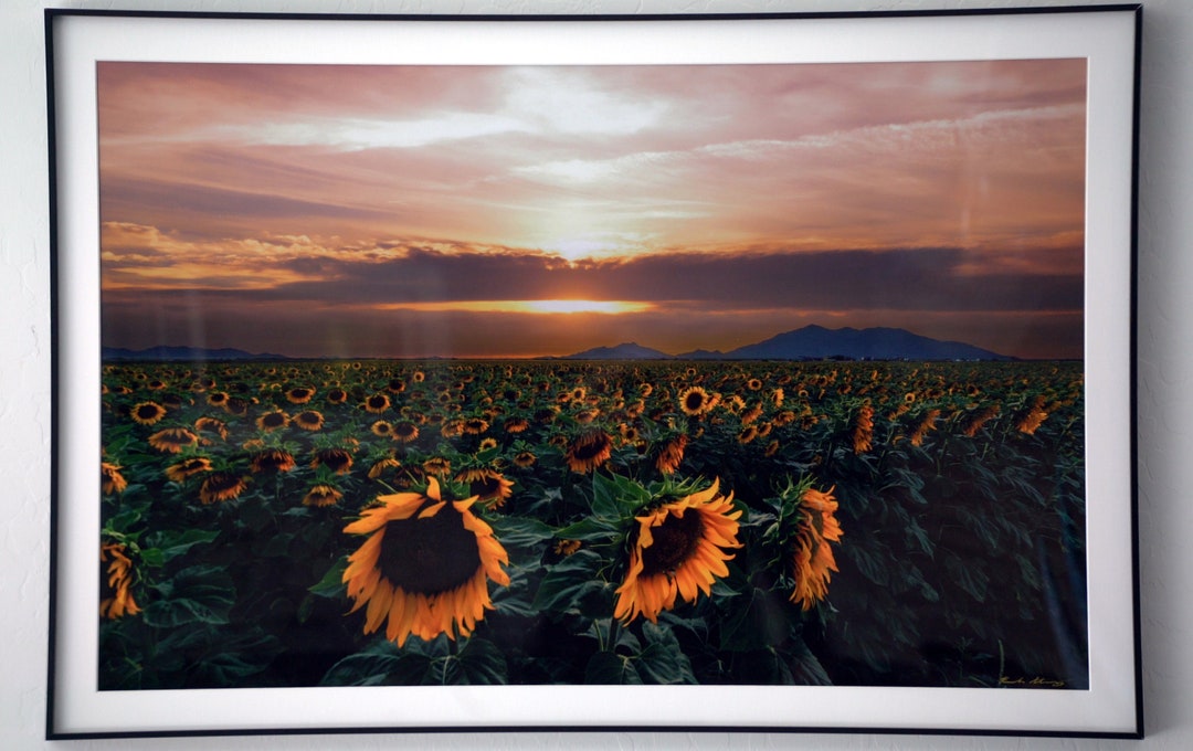 Framed Landscape Photographysigned Printswall Décorframed Wall Art