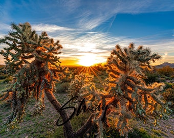 Landscape Photography-Acrylic Prints-Canvas Prints-Wall Decor-Wall Art-Home Decor-Arizona-Desert-Sunset-Cactus-Nature-Superstition Springs