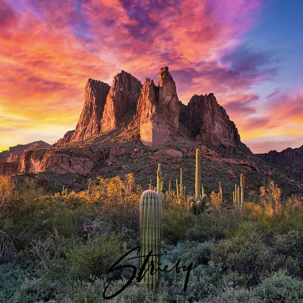 Arizona Desert Landscape Photography-Framed Art-Art Prints-Photography-Wall Art-Landscape Print-Photos-Desert-Sunset-Cactus-Nature Prints