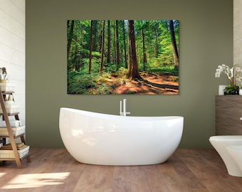 Pacific Northwest-Willamette-Oregon-Landscape Photography-Forest-Prints-Acrylic Prints-Canvas Prints-Wall Décor-Wall Art-Home Décor-