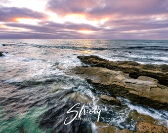 Landscape Photography-Acrylic Prints-Canvas Prints-Wall Decor-Wall Art-Home Decor-La Jolla-San Diego-Ocean-Seal-Nature-Free Shipping