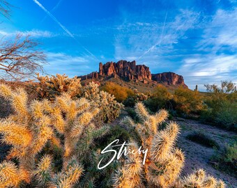 Arizona Landscape Photography Prints-Acrylic Prints-Canvas Prints-Metal Prints-Home Décor-Wall Décor-Cactus-Superstitions-Arizona-Desert