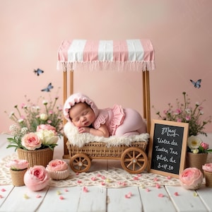 Newborn Digital Backdrop | Pink Flower Cart Baby Bed with Roses, Butterflies & Garden Market Theme
