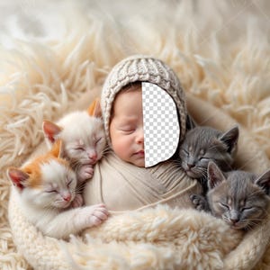 May include: A newborn baby wearing a knitted hat sleeps peacefully with three kittens. The baby is wrapped in a white blanket and the kittens are curled up around the baby's head and body.